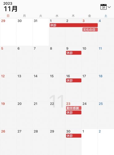 2023-11月